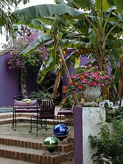 [Alamos garden with lavender walls and colorful flowers at La Puerta Roja bed and breakfast inn: 27k]