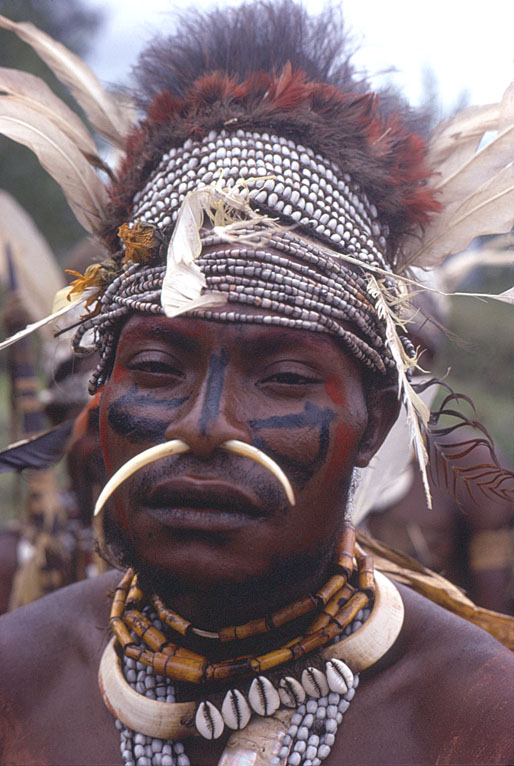 [Haughty Hewa appraises the photographer. His forehead is covered with beaded shells, feathers extending up his elongated hat, pig-tusk nosebone, shell/pigtusk/beaded necklaces, a few simple red and blue stripes of face-paint : 299k]
