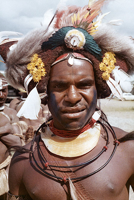 [A strong man with a questioning sccowl beneath a dramatic hairwig with blue Bird of Paradise, yellow everlasting daisies and kina shell jewelry: 238k]